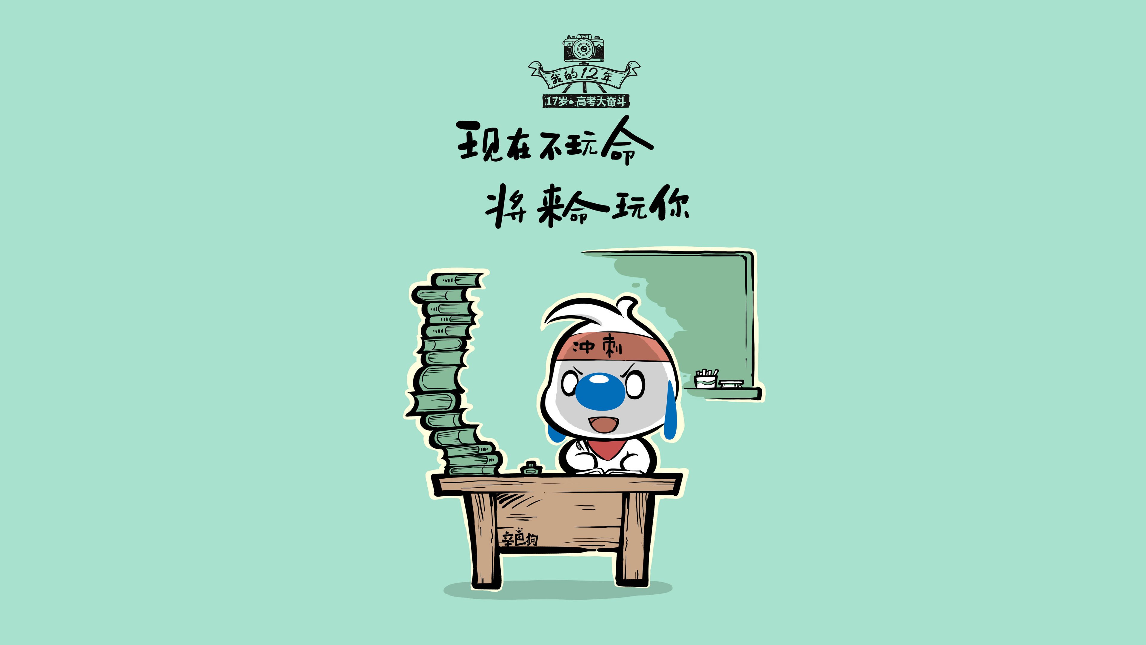 “公牛队新秀秀出色,带领球队开启新篇章”,公牛队新赛季