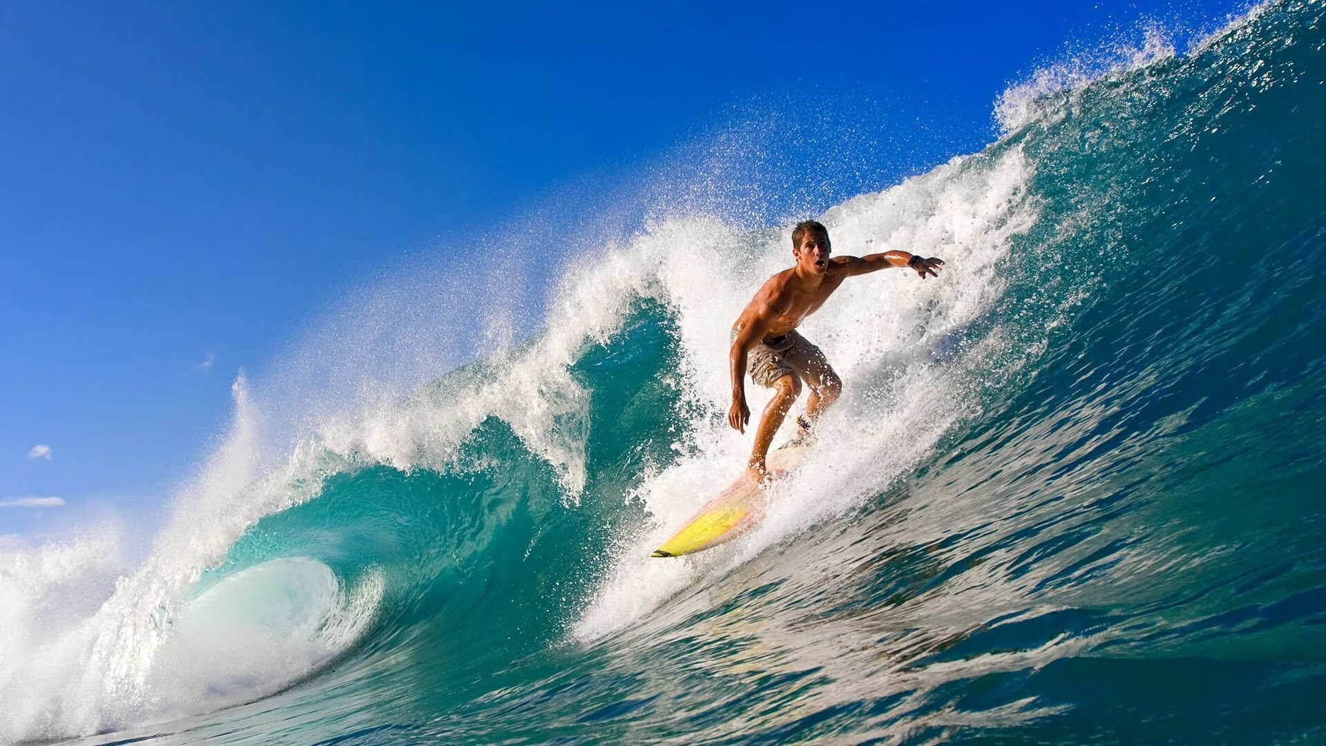 激烈角逐激发全民热情,激烈角逐的句子