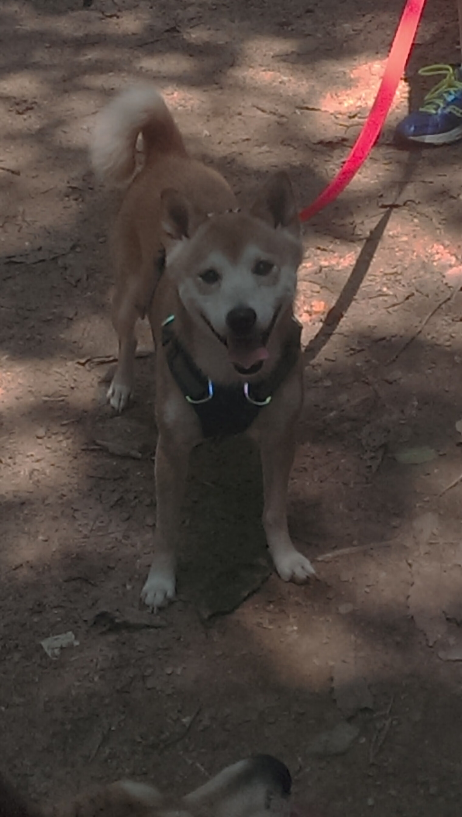 开云体育登录网站入口-_运动员赛前准备：训练细节揭秘_，运动员赛前准备有哪些