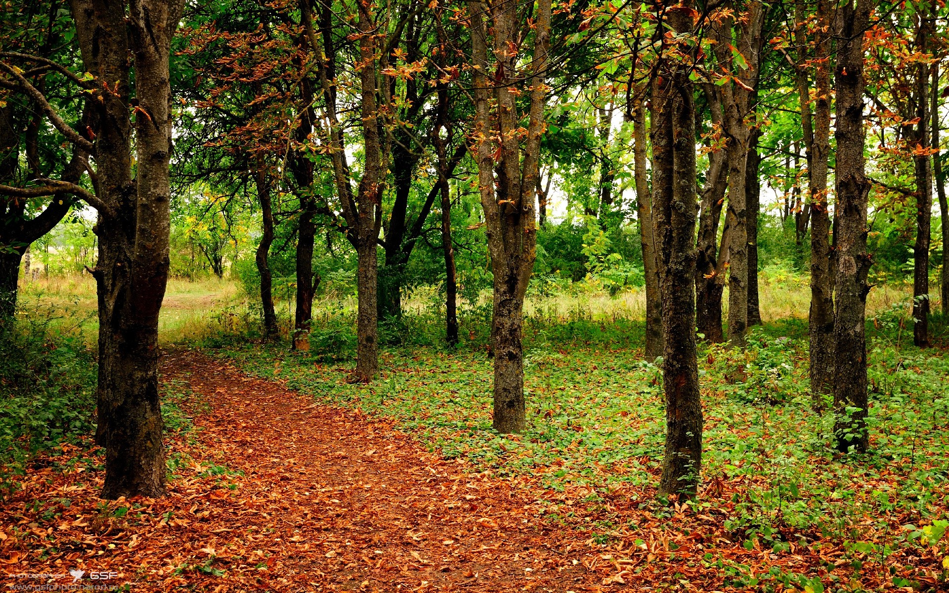 开云真人-“防守典范：联盟最铁的防守阵营”，联盟最强防守