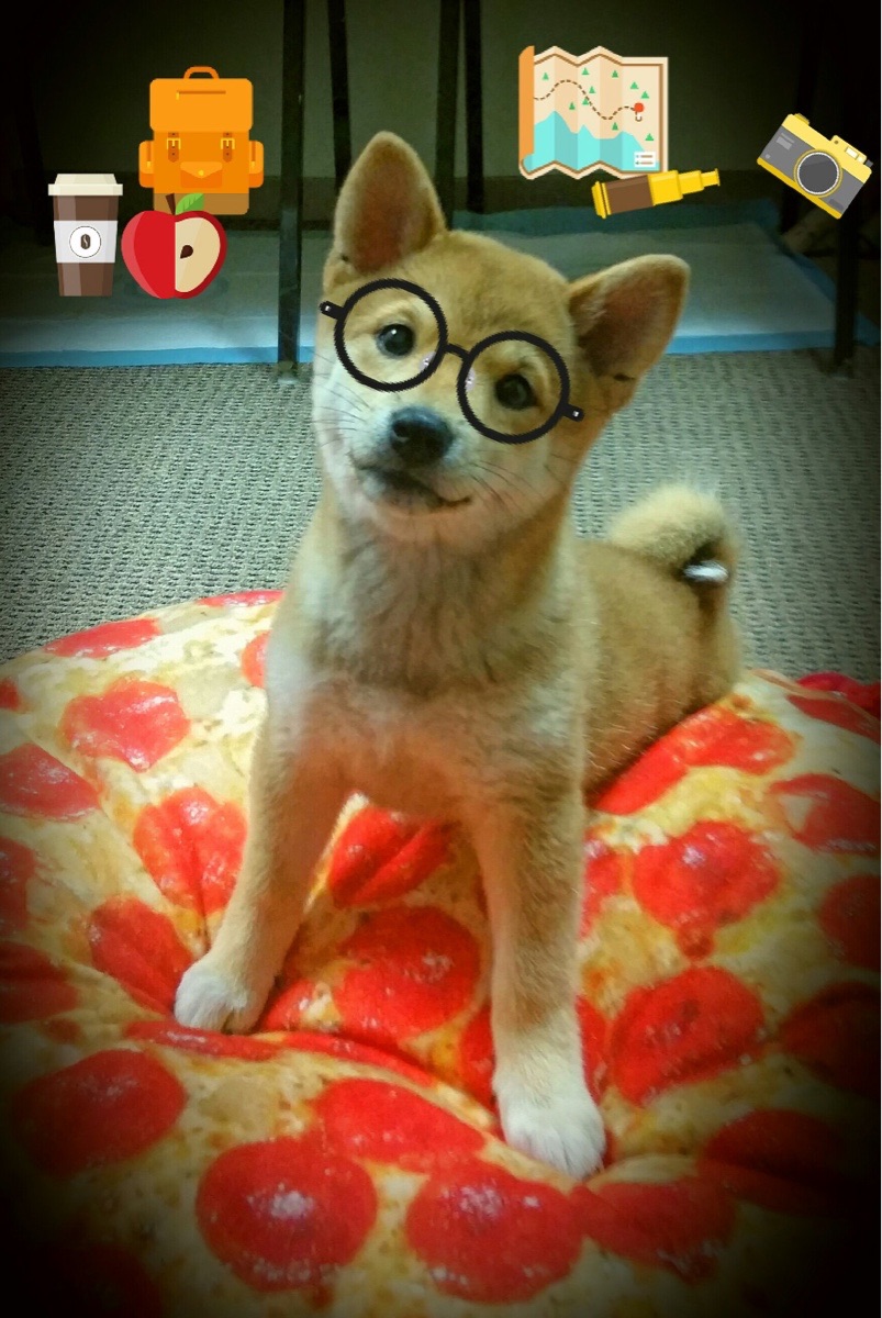 开yun官网-史上最激烈“冠军争夺战”精彩片段汇总，冠军争霸